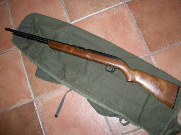 carabine cal .22